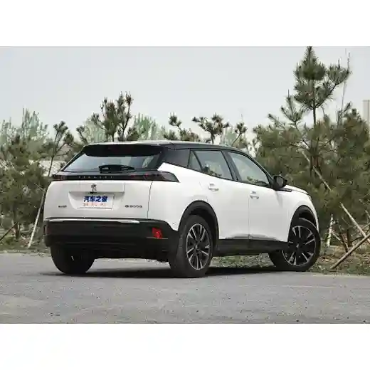  new energy electric vehicle suv