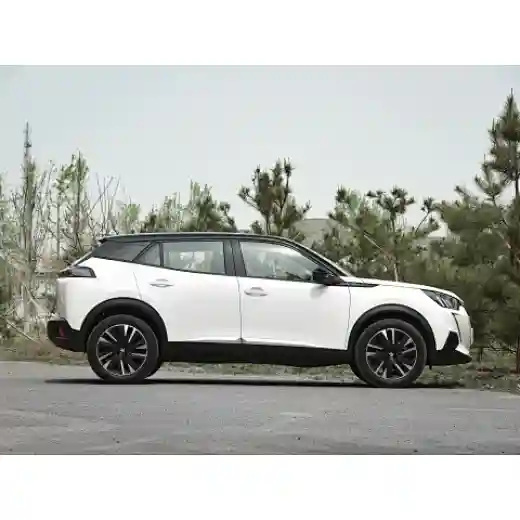  new energy electric vehicle suv