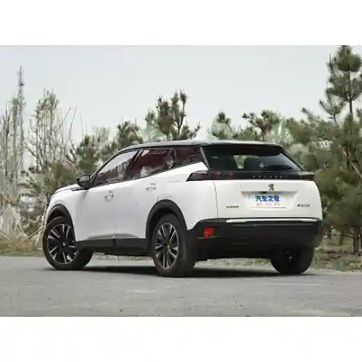  new energy electric vehicle suv