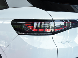2022 Long Range Lite PRO Taillights