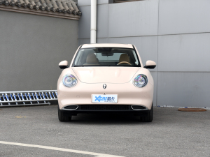 2022 400km standard battery life distinguished ternary lithium is in front