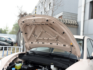 2022 400km standard battery life distinguished ternary lithium engine compartment soundproof cotton