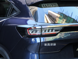 2021 Shangyi Edition details and appearance