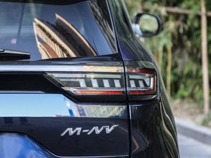 2021 Shangyi Edition details and appearance