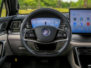 2022 Basic Steering Wheel