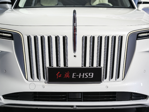2021 510km flag-collar version four-seat middle grill