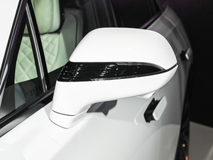 2021 510km Flag Collar Version Four Seat Rearview Mirrors