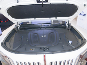 2022 660km Flag Collar Version Four Seats Others
