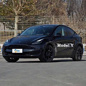 Tesla China-Model Y