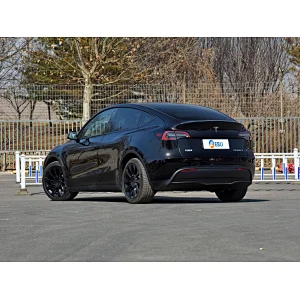 Tesla China-Model Y