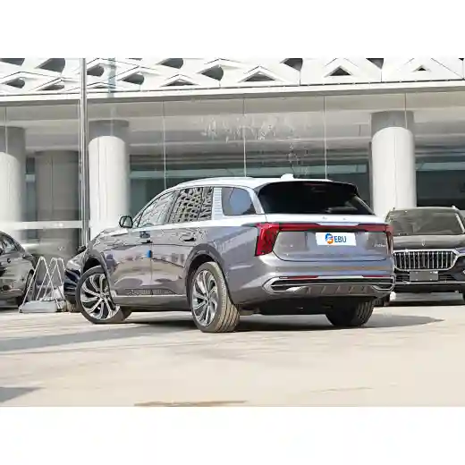 Hongqi E-HS9