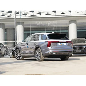 Hongqi E-HS9