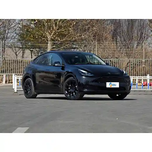 Model Y
