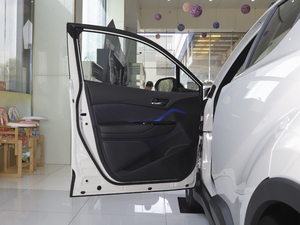 2020 E · Zhixiang Edition driver's door