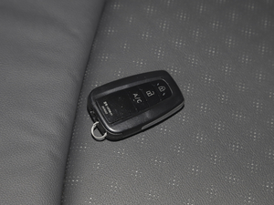 2020 E·Smart car key