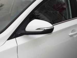 2020 E-liFe Rearview Mirror