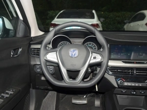 2020 E-liFe steering wheel