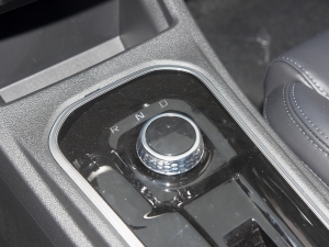 2020 E-liFe shift lever