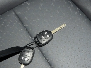 2020 E-liFe car key