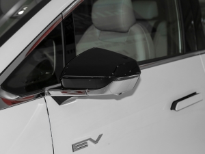 2022 Hardcore Edition Rearview Mirror