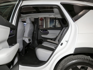 2022 hardcore version rear space