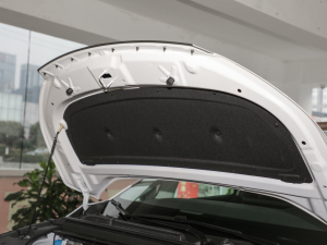 2022 Pioneer Edition engine compartment sound insulation cotton
