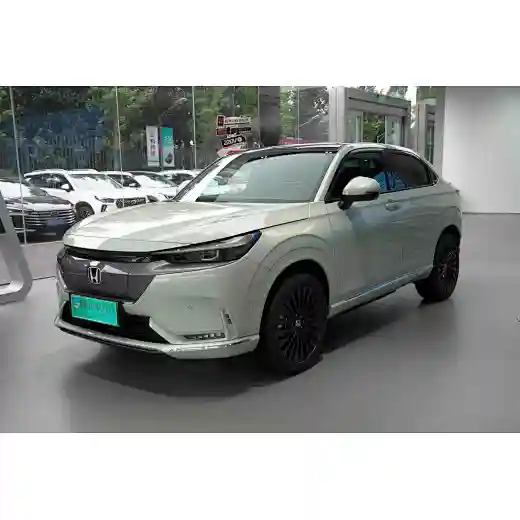 eNP1 picture