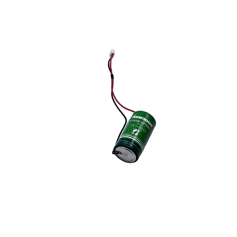 Intelligent power type 3.6V Lithium Battery Safety and environmental protection