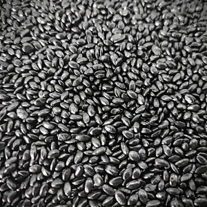 Super Black Masterbatch