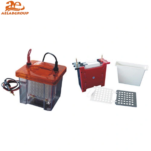 electrophoresis tank
