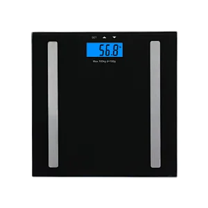 bodyfat scale