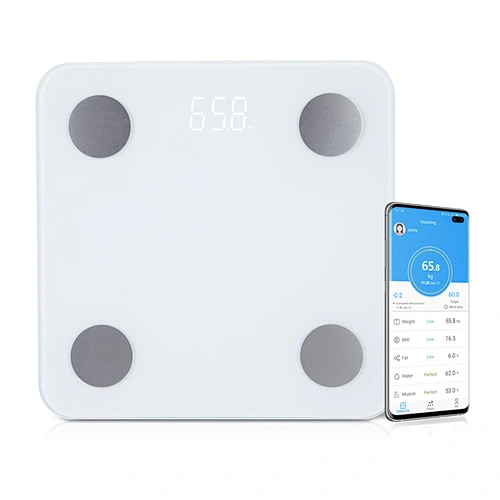 Digital USB most accurate smart scale - Zhongshan Canny