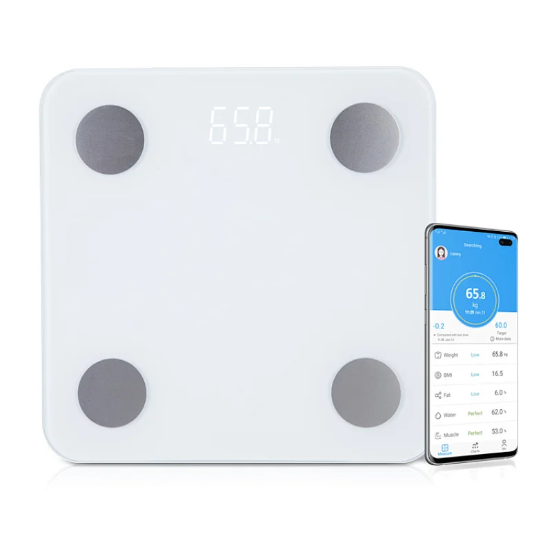 mi scale body composition 2