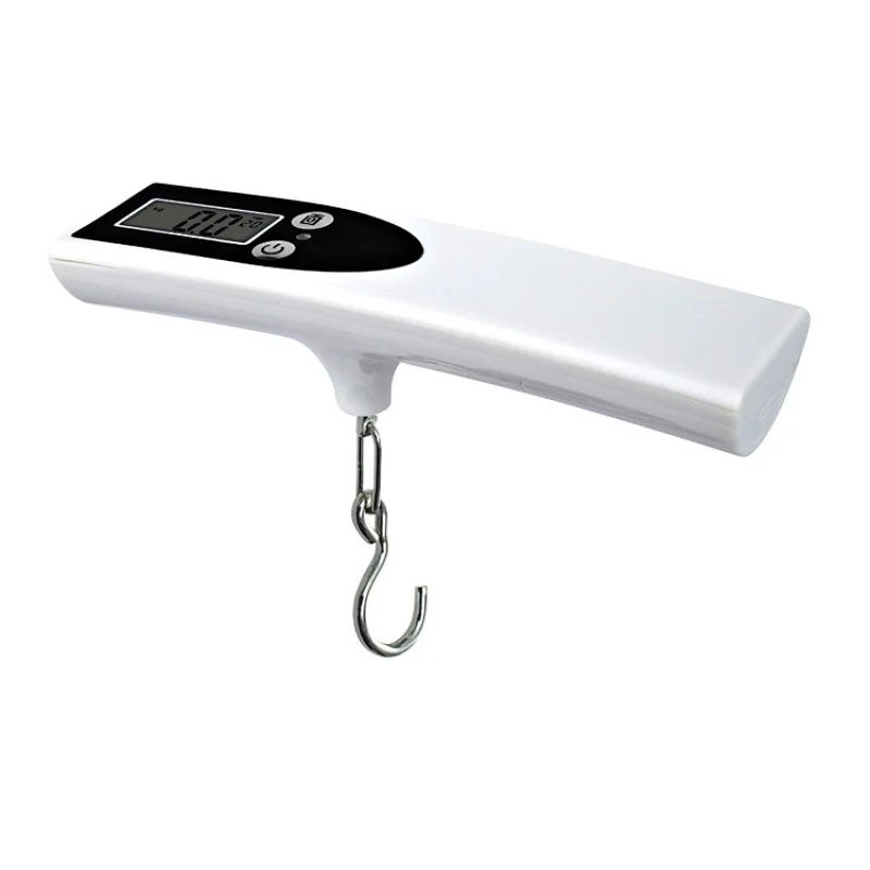fish travel scale
