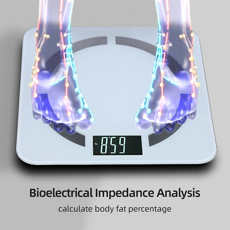 English Version Fat Percentage Measure Electronic Body Fat Meter