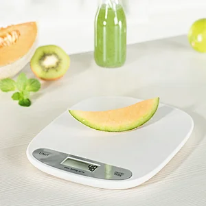 best food scale for weight loss
