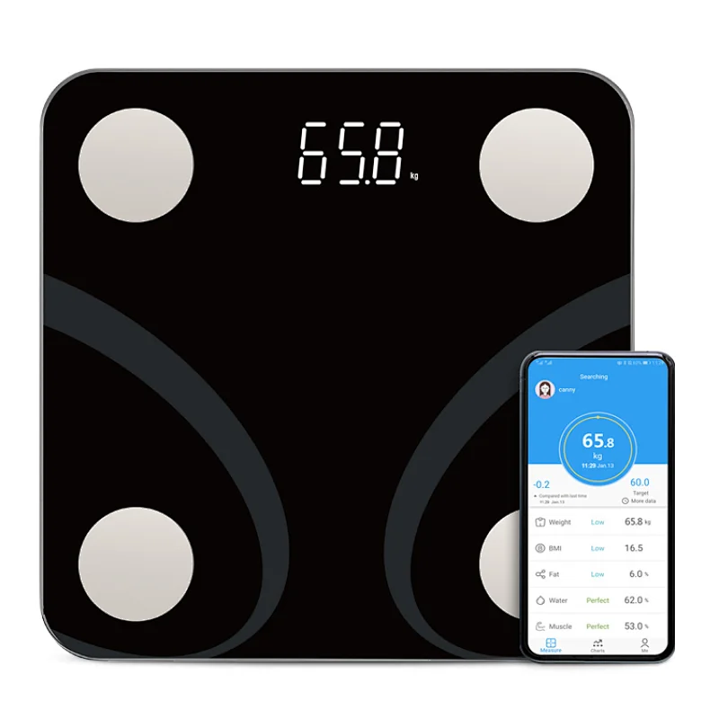 fit track scale app