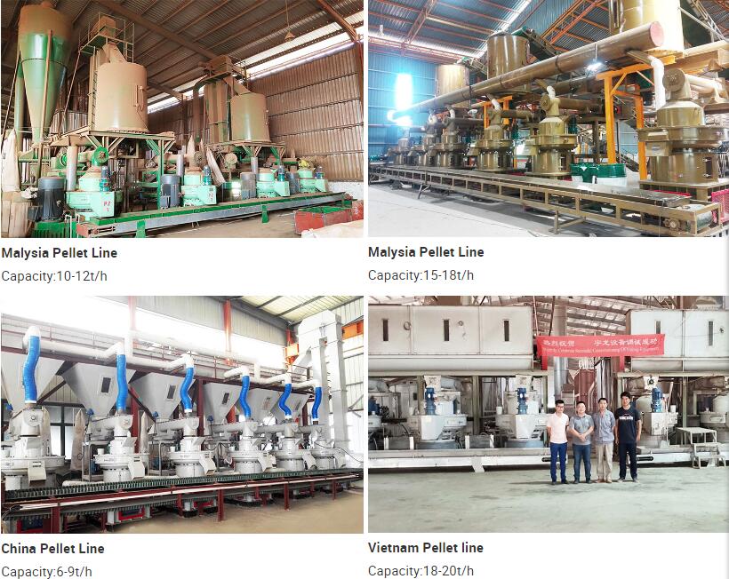 production line case