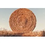 biomass straw pellet machine
wood pellet machine manufacturer