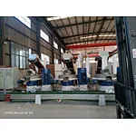 La línea de producción de granulación de residuos de madera de Fujian produce de 4 a 6 toneladas por hora