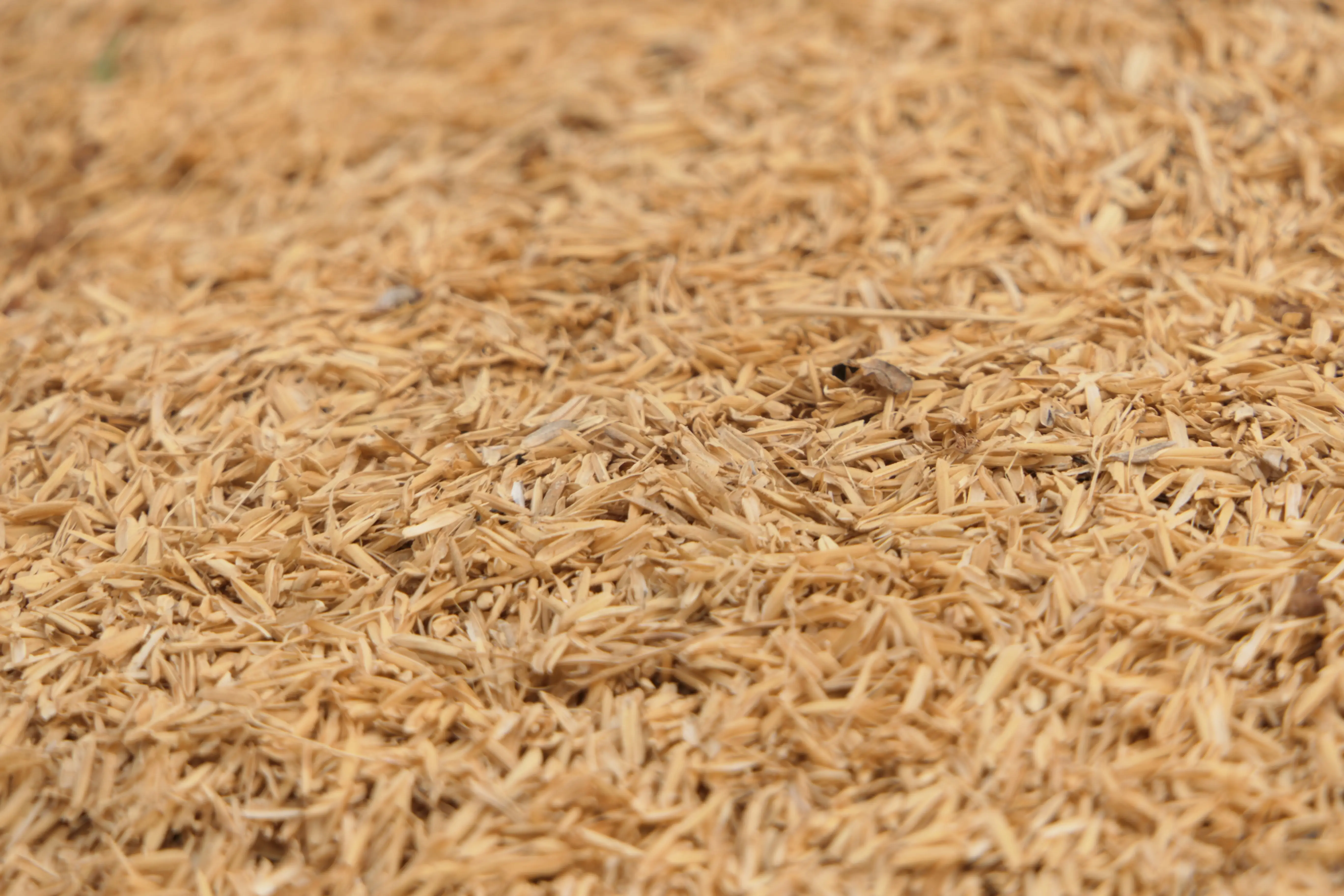 rice husk
rice husk pellet machine