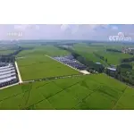 Promoting and applying biomass energy according to local conditions