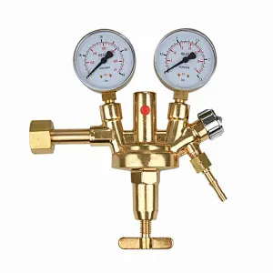 Zinser Regulator