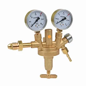 Zinser Regulator