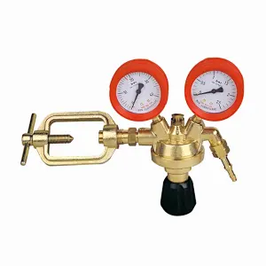 French Type Medium Duty Pressure Regulator