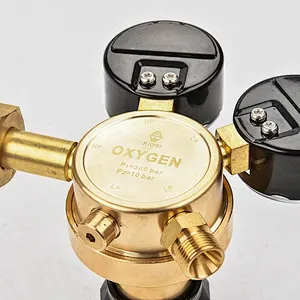 300bar Service Single Stage Brass Oxygen Gas Regulator With Two Gauges