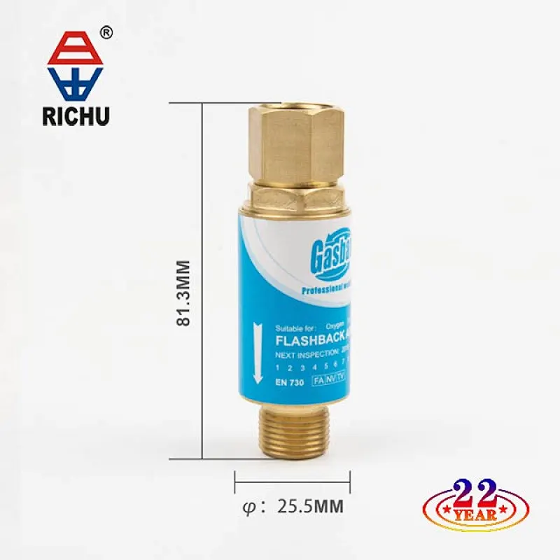 288R Flashback Arrestor