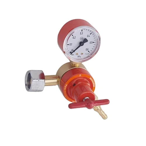 Hot Sale LPG Gas Pressure Regulator