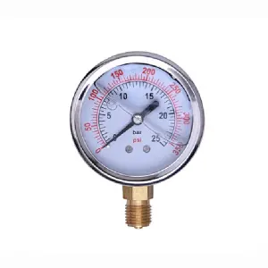 Stainless Steel Clamp Type Diaphragm Pressure Gauge For Sanitary Industry