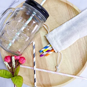 Eco-friendly Recyclable Biodegradable Paper Drinking Straw